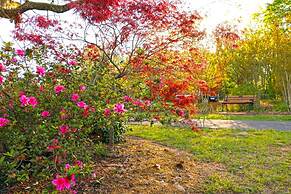 Holiday Inn Express Hotel and Suites Nacogdoches by IHG