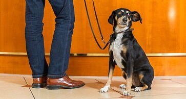 Victor's Residenz-Hotel Erfurt