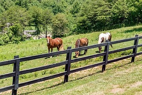Brasstown Valley Resort & Spa