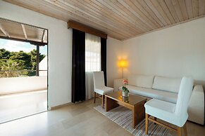 Mitsis Alexander the Great