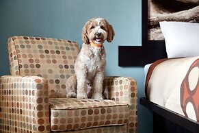 Super 8 by Wyndham Whites Creek/ Nashville NW Area