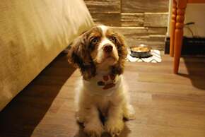 Hotel Chateau Bellevue