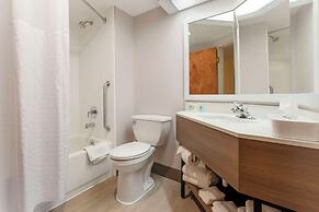 Comfort Inn & Suites LaVale - Cumberland