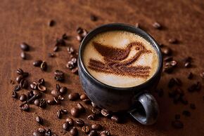 Sandpiper Bay All-Inclusive, Trademark Collection by Wyndham