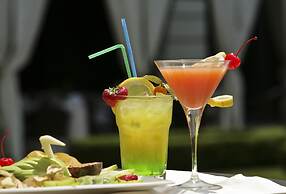 Grand Visconti Palace