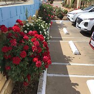 Americas Best Value Inn & Suites Joshua Tree National Park