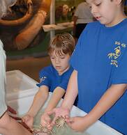 GreenLinks Golf Villas at Lely Resort