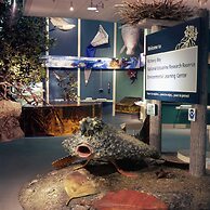 GreenLinks Golf Villas at Lely Resort