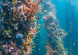 Bayview Geographe Resort