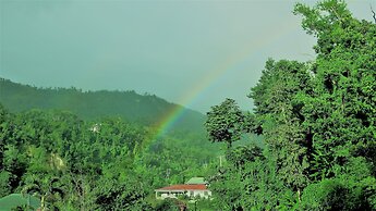 Chez Ophelia Cottage Apartments