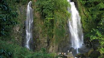 Chez Ophelia Cottage Apartments