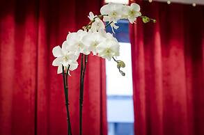 Hotel Migny Opera Montmartre