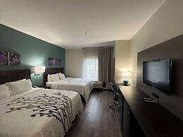 Sleep Inn & Suites Pineville - Alexandria