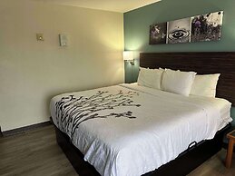 Sleep Inn & Suites Pineville - Alexandria
