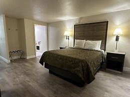 Motel In The Pines