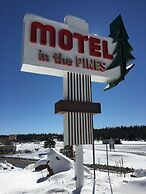 Motel In The Pines