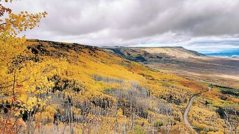 Stay Wise Inn Cedaredge