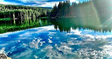 Stay Wise Inn Cedaredge