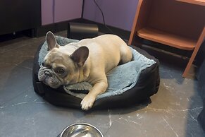 Casual Eclettico Milano Hotel