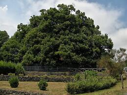 Airone Wellness Hotel