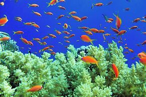 Renaissance Sharm El Sheikh Golden View Beach Resort