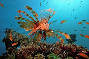 Renaissance Sharm El Sheikh Golden View Beach Resort