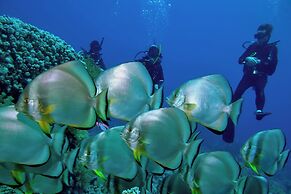 Renaissance Sharm El Sheikh Golden View Beach Resort