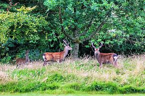 Tulfarris Hotel & Golf Resort