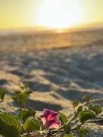 Ocean Front Paradise Resort