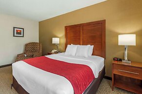 Comfort Inn And Suites