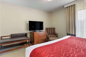 Comfort Inn And Suites