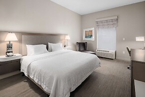 Hampton Inn by Hilton Springfield