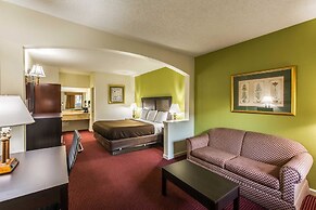 Suburban Studios Florence - Darlington