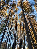 Hongqiao State Guest Hotel Shanghai