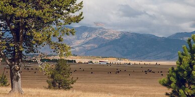 Timbers at Island Park Village Resort