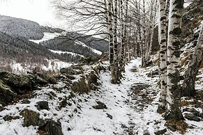 Hotel Euroski Mountain Resort & Spa