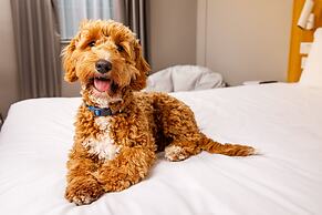 ibis Styles Birmingham Centre