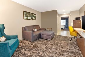 Hilton Garden Inn Minneapolis - Maple Grove