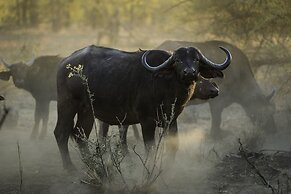 The Outpost & Pel's Post