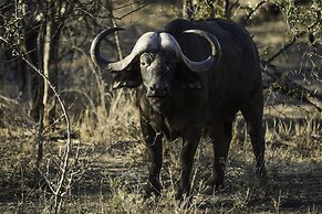 The Outpost & Pel's Post