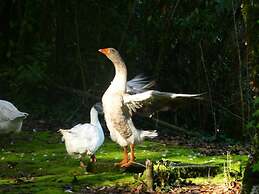 Hotel das Termas Curia