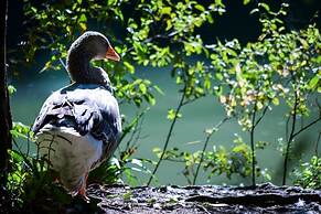 Hotel das Termas Curia