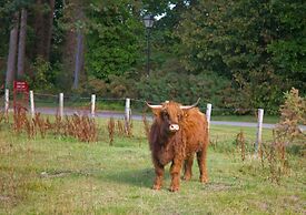 Muthu Newton Hotel (Near Inverness Airport)