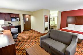 Comfort Suites Concord Mills