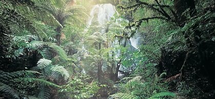 Treetops Lodge & Estate