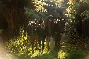 Treetops Lodge & Estate