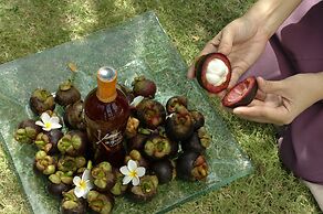 Mangosteen Ayurveda & Wellness Resort