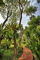 Mangosteen Ayurveda & Wellness Resort