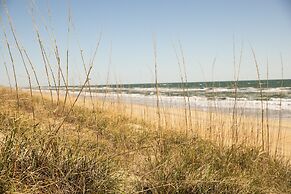 The Sanderling
