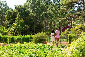 The Ritz-Carlton Orlando, Grande Lakes